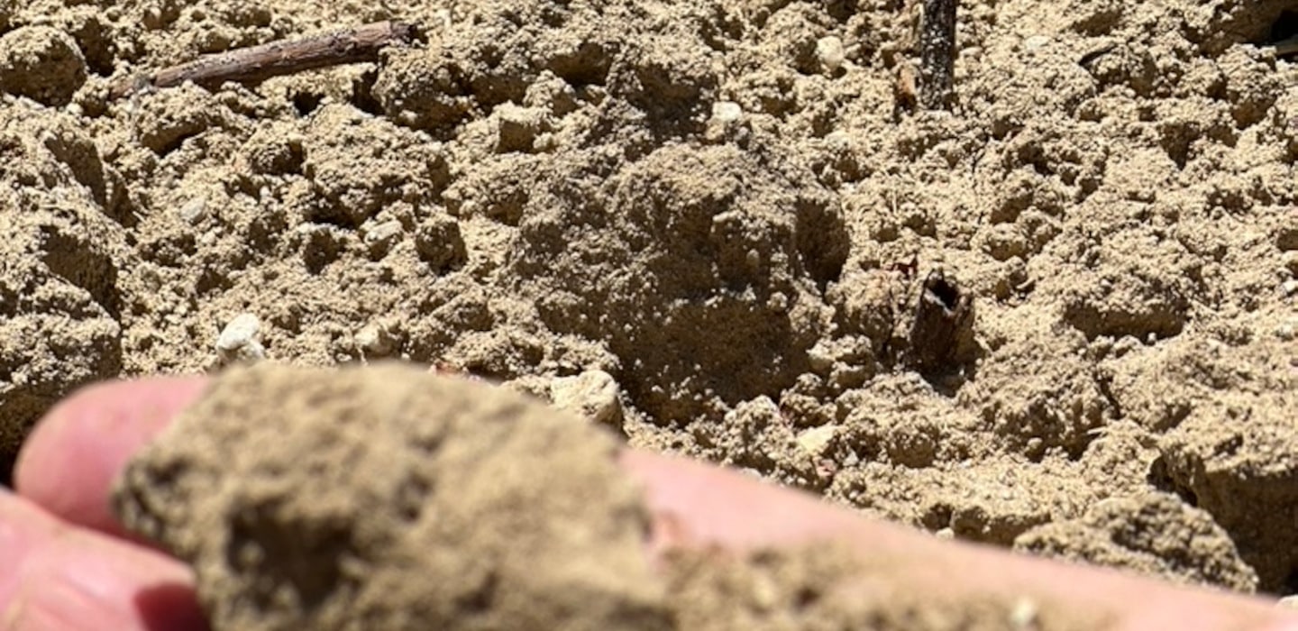 Soil Bulgarian terroir