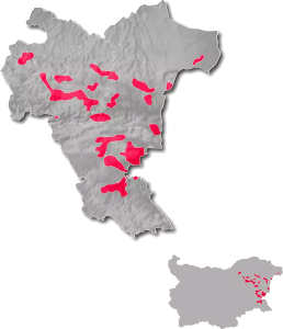 Black sea region wine region