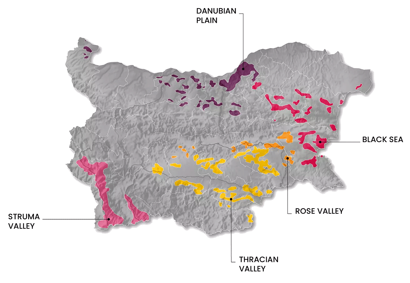 Bulgaria 5 wine regions