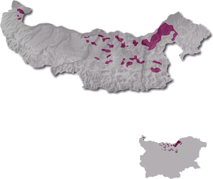 Danubian plain wine region