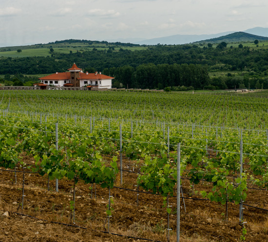 MANASTIRA WINERY