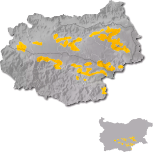 Thracian Valley wine region